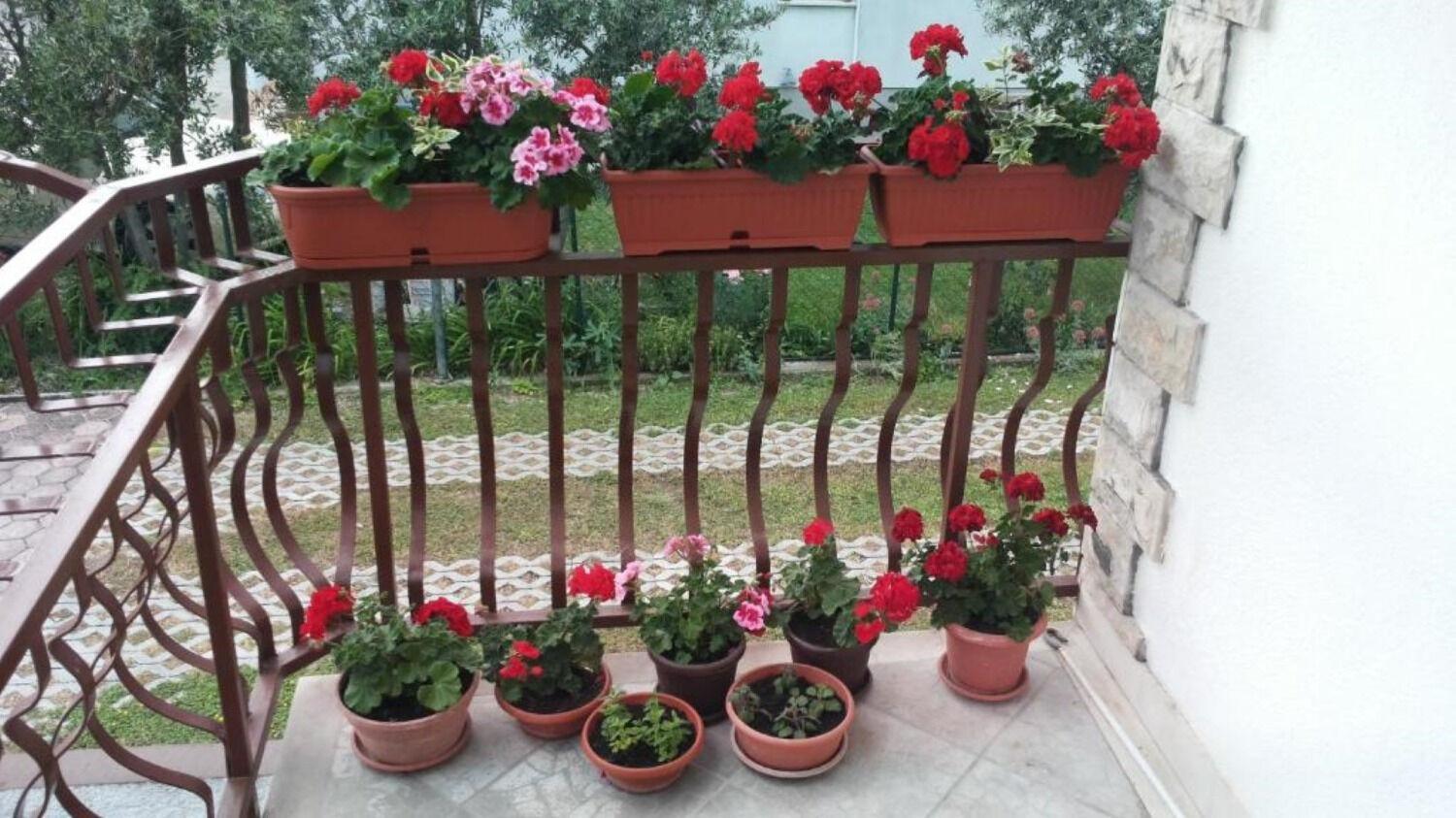 Apartments Bozana Kastela Luaran gambar